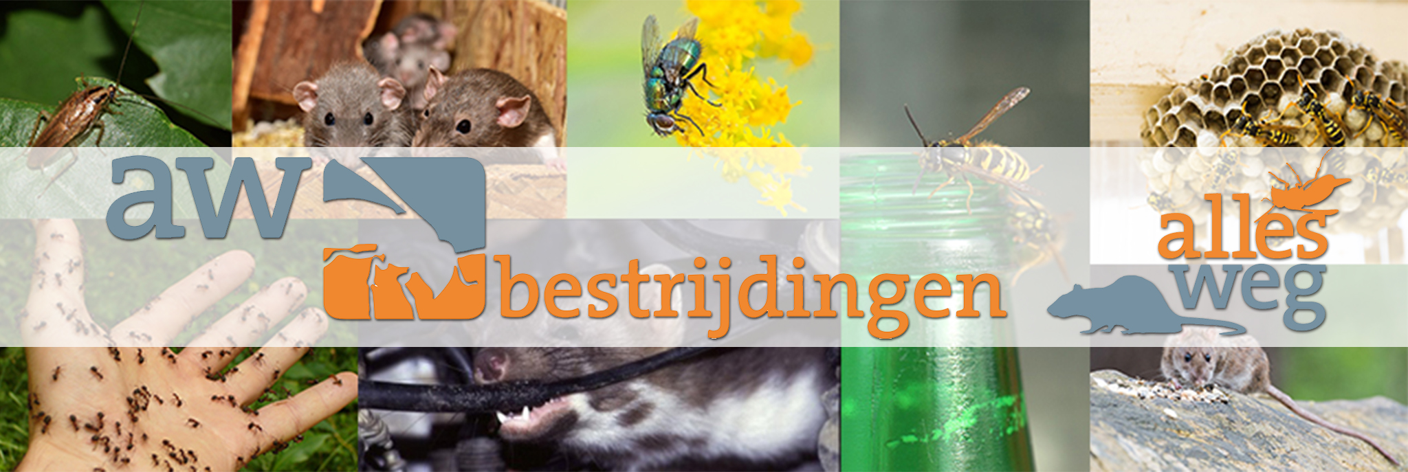 ongediertebestrijding